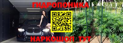 молекула духа Бийск