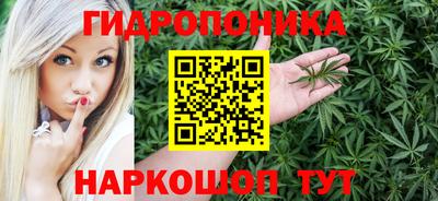 молекула духа Бийск