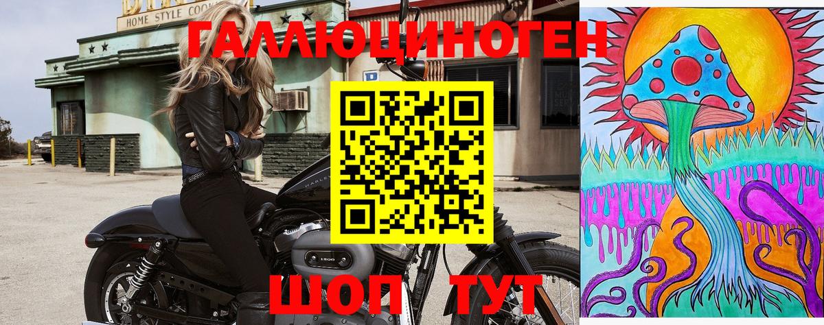 Псилоцибиновые грибы мицелий  Вход с VPN  Калуга  Псилоцибиновые грибы GOLDEN TEACHER 