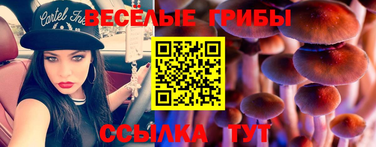 Галлюциногенные грибы Cubensis Калуга